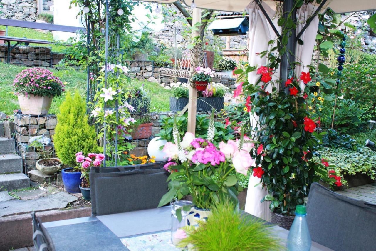 Ferienwohnung Im Morgenbachtal Trechtingshausen 외부 사진