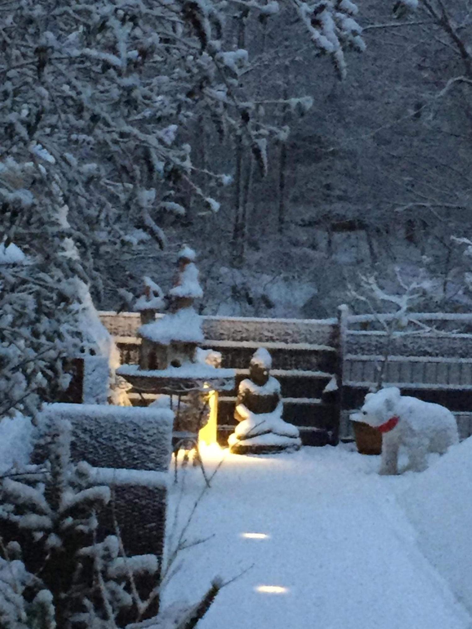 Ferienwohnung Im Morgenbachtal Trechtingshausen 외부 사진
