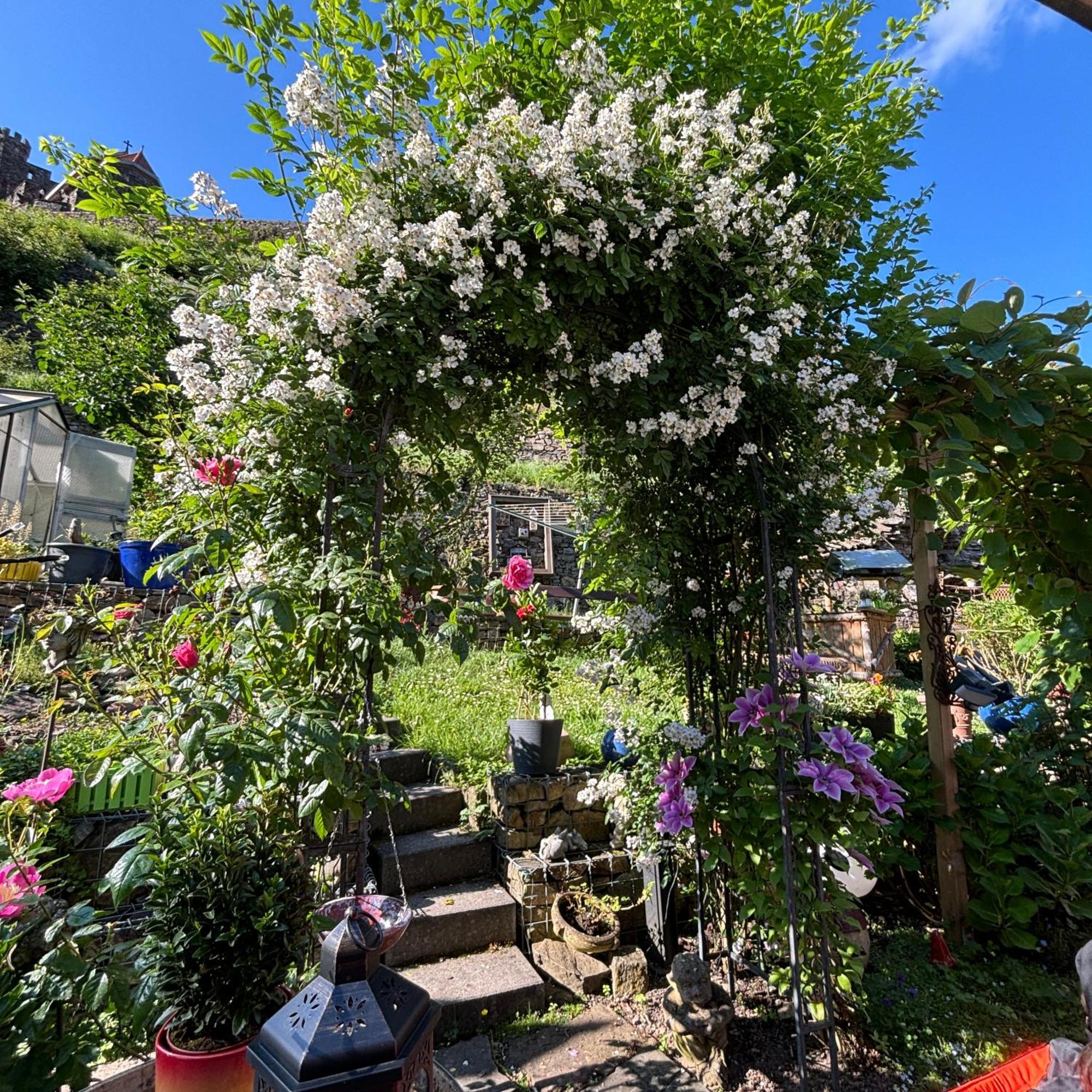 Ferienwohnung Im Morgenbachtal Trechtingshausen 외부 사진