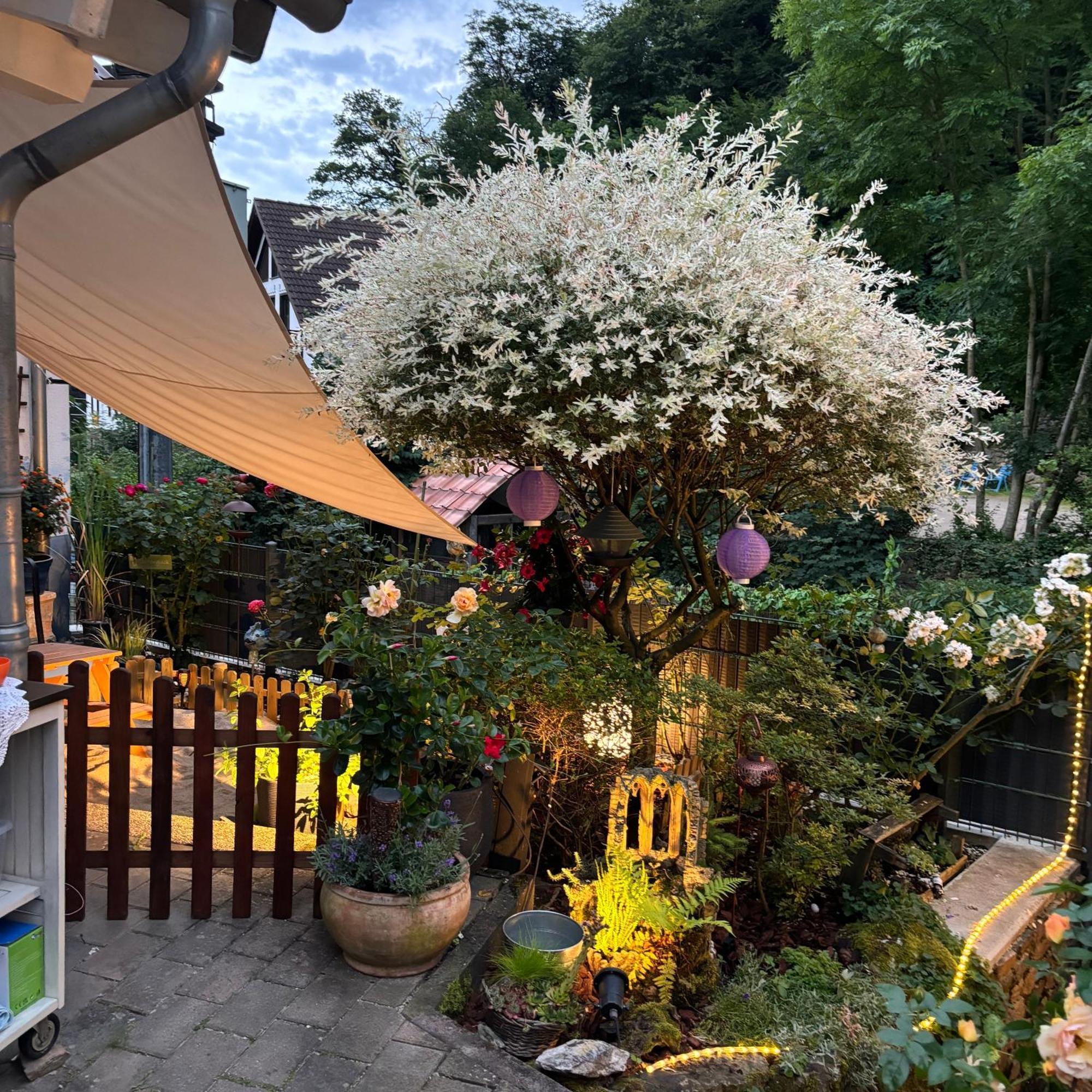 Ferienwohnung Im Morgenbachtal Trechtingshausen 외부 사진