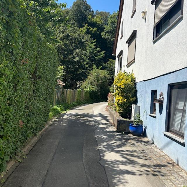 Ferienwohnung Im Morgenbachtal Trechtingshausen 외부 사진